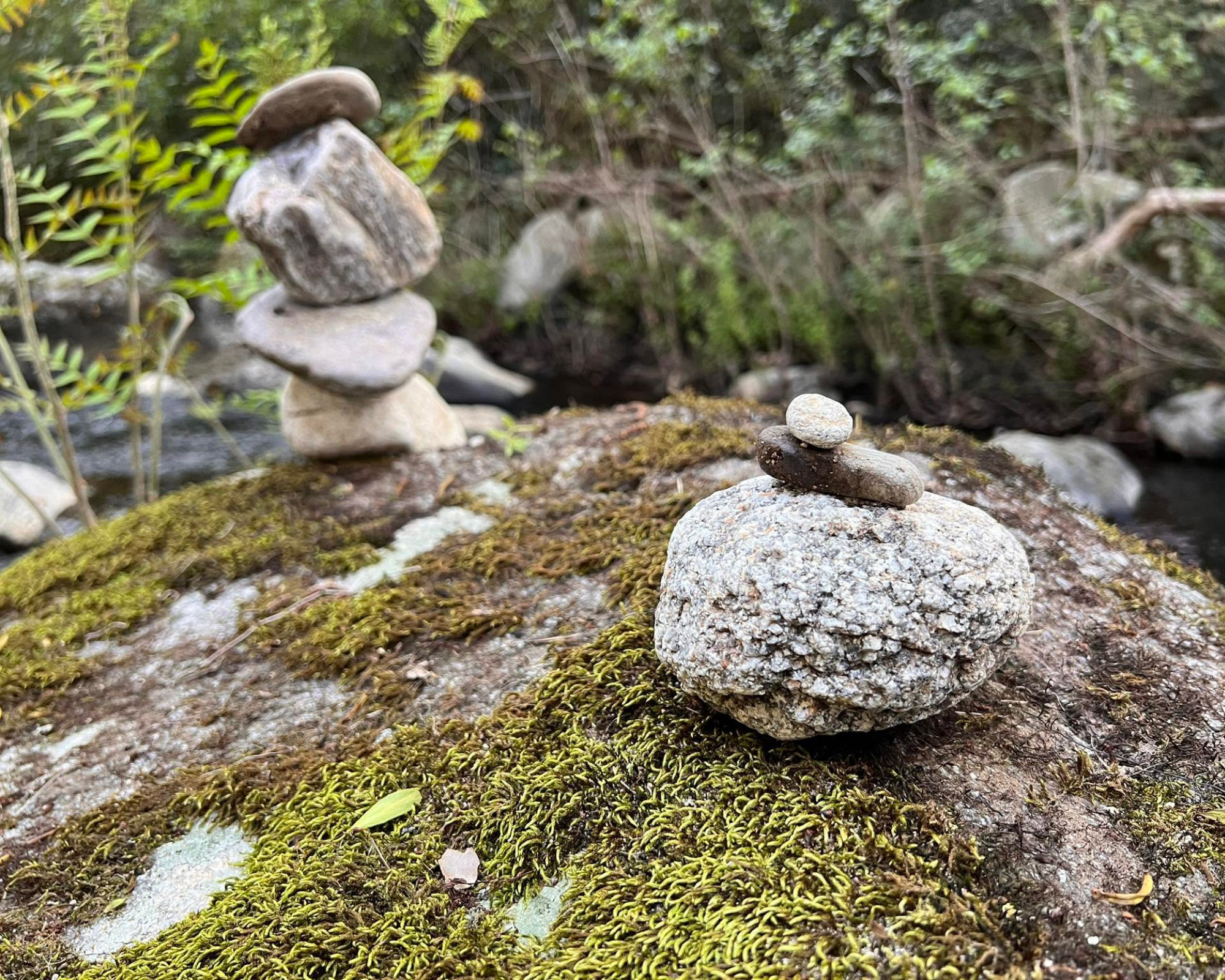 Equilibre Energies